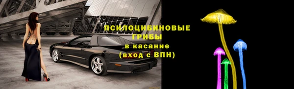 тгк Аркадак